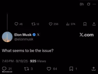 Elon Musk "What Seems to Be the Issue?"
