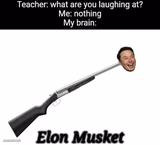 Elon musket