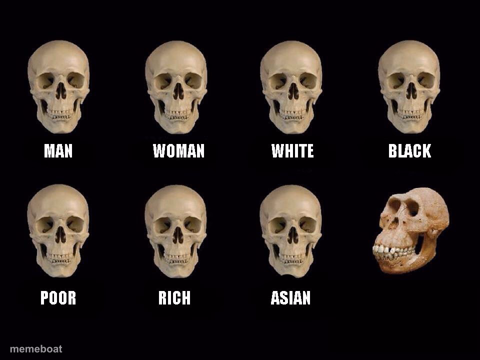 empty skulls of truth - meme generator image preview