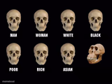 empty skulls of truth