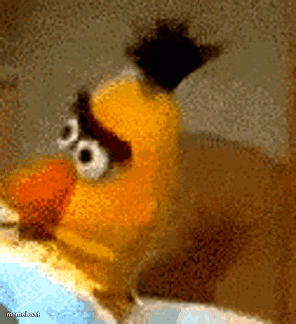 Ernie stupid look - meme generator image preview