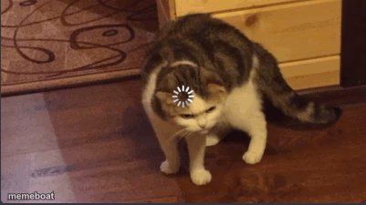 Error cat - meme generator image preview