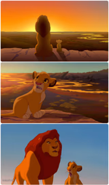 Everything the light touches