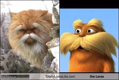 Evolution - meme generator image preview
