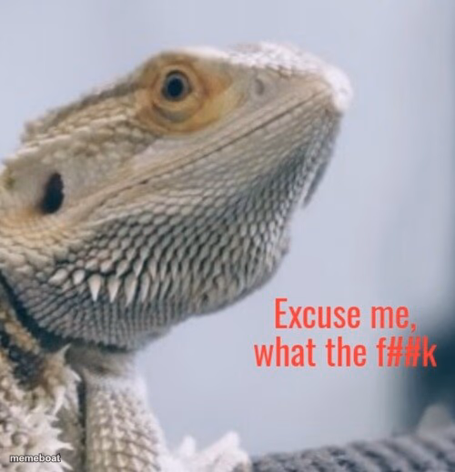 Excuse me, what the f##k - meme generator image preview