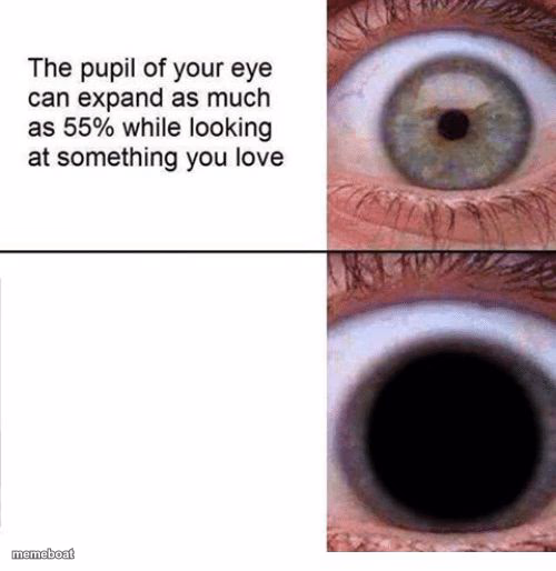Expanding Pupil - meme generator image preview