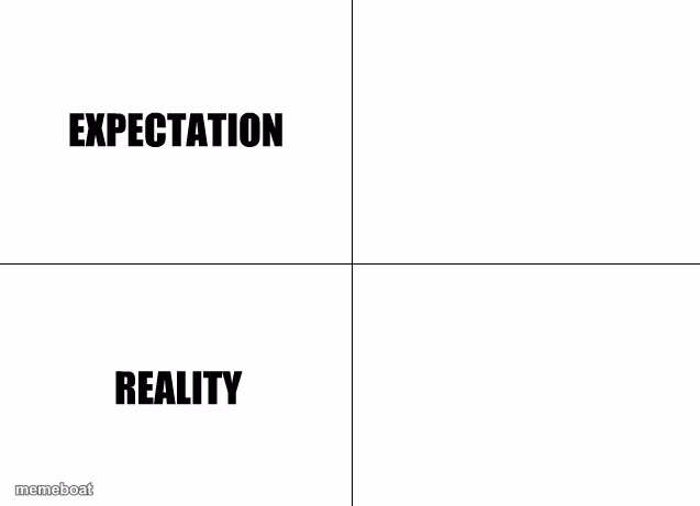 Expectation vs Reality - meme generator image preview