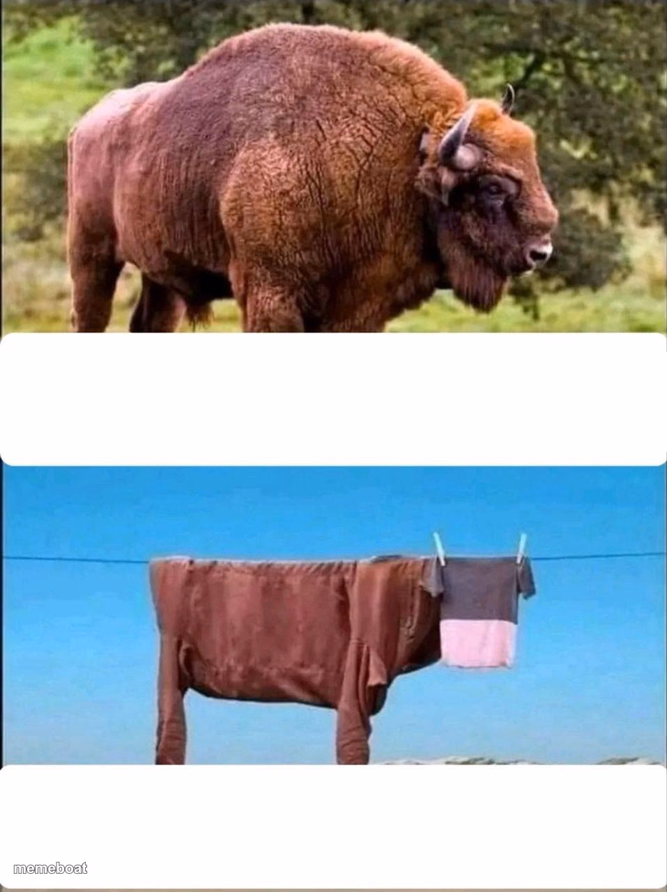 expectations vs reality - meme generator image preview