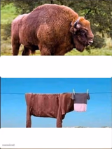 expectations vs reality