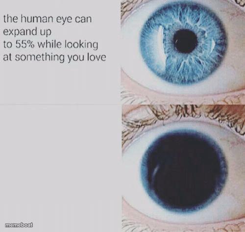 Eye pupil expand - meme generator image preview