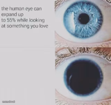 Eye pupil expand
