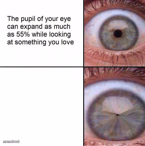 Eye Pupil (Shrinking) Template - meme generator image preview