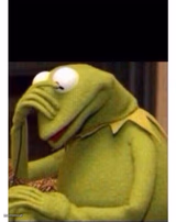Facepalm frog
