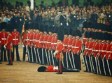 Fainted Soldier