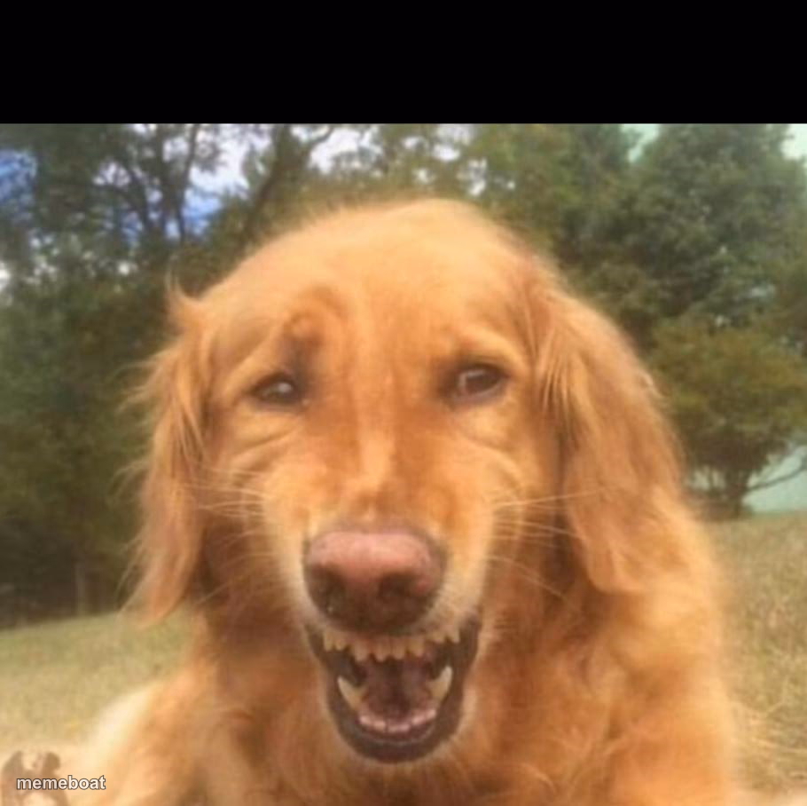 Fake Laugh Dog - meme generator image preview