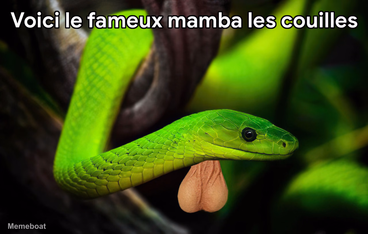 Famous Mamba Balls - meme generator image preview