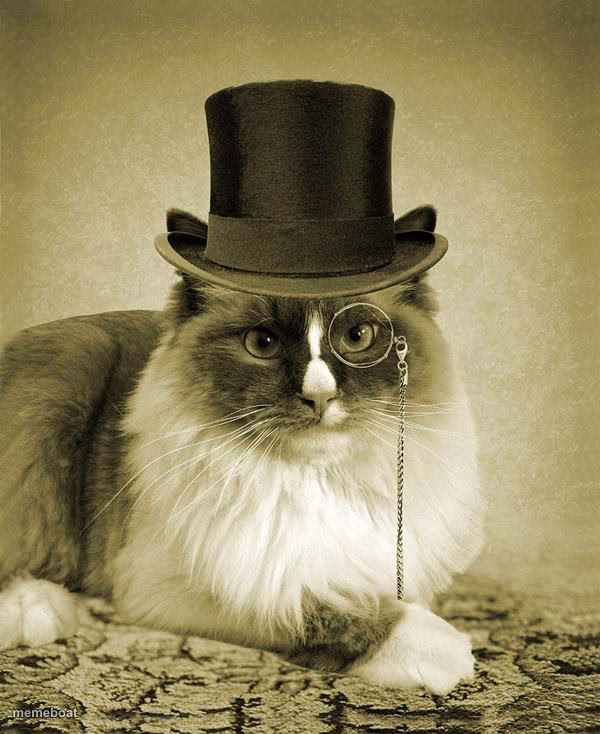 fancy cat - meme generator image preview