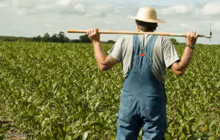Farmer With Hoe in Field