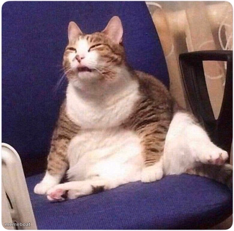 Fat Cat - meme generator image preview