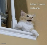 father, I crave violence cat