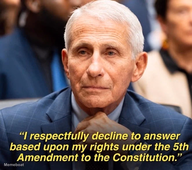 Fauci Invokes Fifth Amendment - meme generator image preview