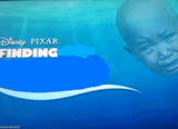 Finding (Blank)