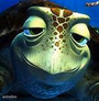 Squirt Finding Nemo
