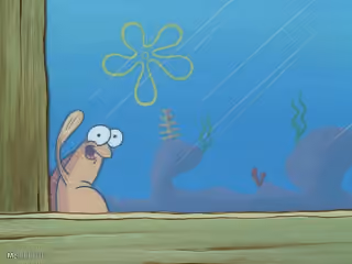 Fish Looking Out Window