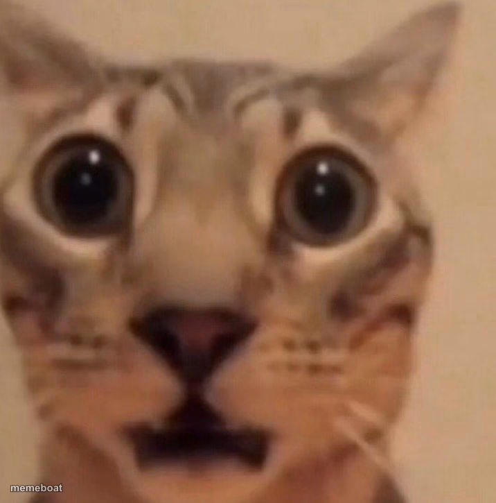 Flabbergasted cat - meme generator image preview