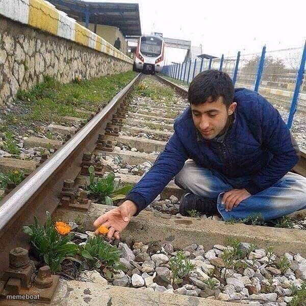 Flower Train Man - meme generator image preview
