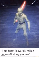 Fluent in over 6 million forms of kicking your Ass