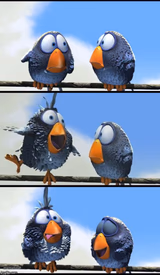 For the Birds