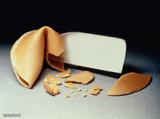 Broken Fortune Cookie