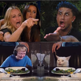 Four panel Taylor Armstrong Pauly D CallmeCarson Cat
