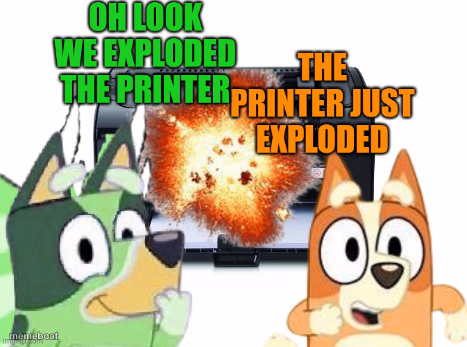 Freddie Schrödinger and Bingo Heeler Have Exploded the Printer - meme generator image preview
