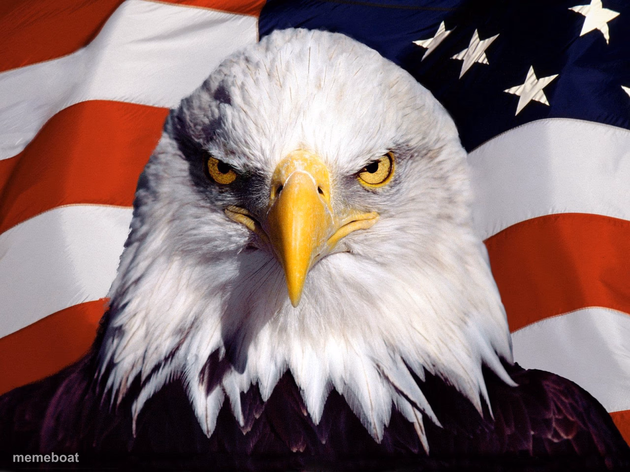 Freedom Eagle - meme generator image preview