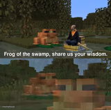 Frog of the swamp, share us your wisdom
