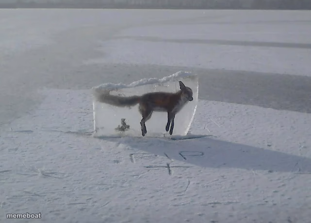 Frozen Fox - meme generator image preview