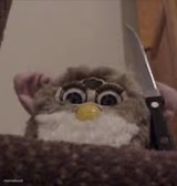 Furby delete this