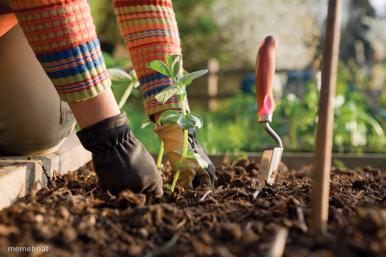 Gardening - meme generator image preview