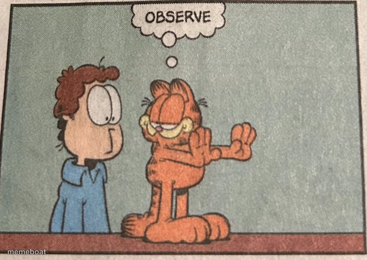 Garfield Observe - meme generator image preview