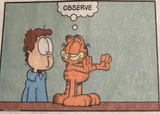Garfield Observe