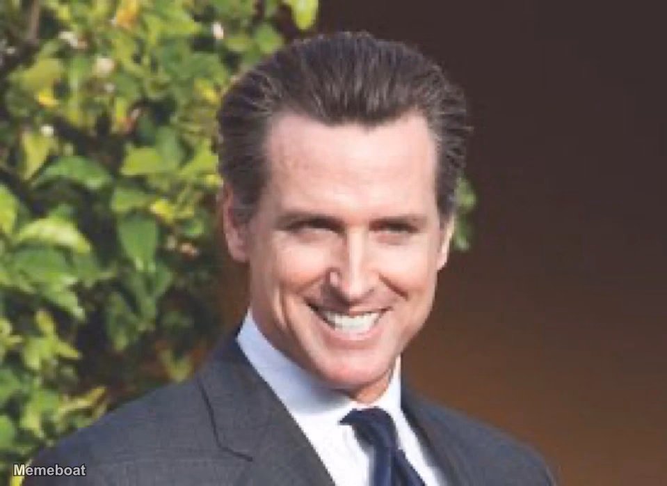 Gavin Newsom Smiling - meme generator image preview
