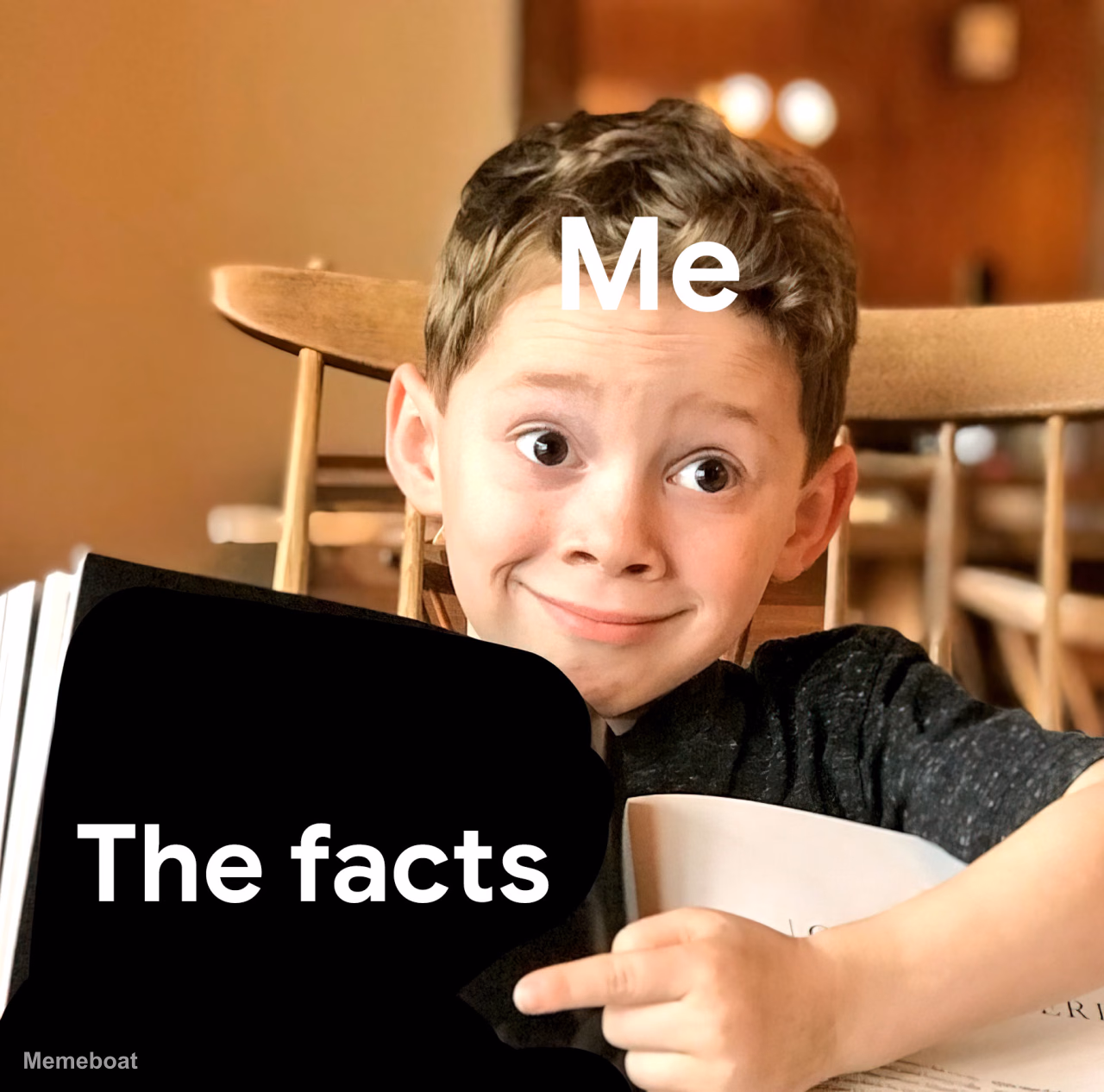 Gavin Thomas "Me, the Facts" - meme generator image preview
