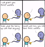 genie what the hell is up with that anyway