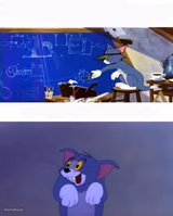Genius tom dumb tom