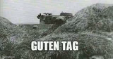 German guten tag tiger