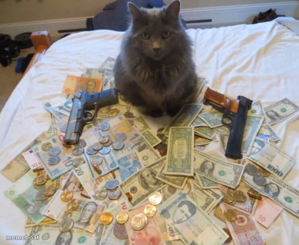 get rich cat - meme generator image preview