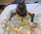 get rich cat