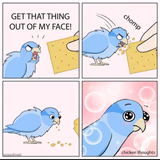Get that thing out of my face